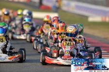 Výsledky Rok Cup International Final 2018 ...