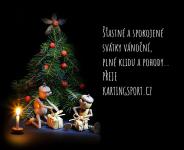 Šťastné a spokojené vánoční svátky ...